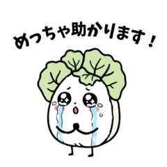 Cute Chinese Cabbage Greetings