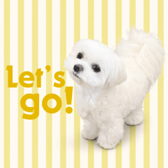 Kirimaru's Summer Striped Stickers