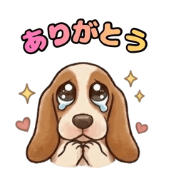 Basset Hound: Melancholy Life