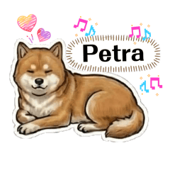 JCGorrito_20260405145253