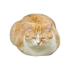 Yuringo_20260409123113