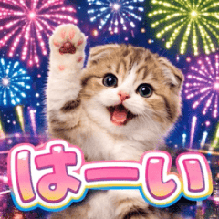 neon nyanko