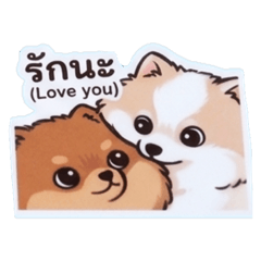 two little babe Pomeranian