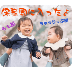 atelier pure rosa_20260409111706