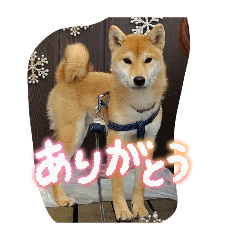 kouki_20260409120353