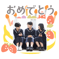 TURTLE original sticker 15260269