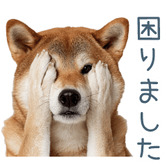 毎日使える敬語柴犬【連絡・あいさつ】