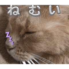 OHTA_20260405155804