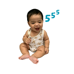 sheep_20260408221331