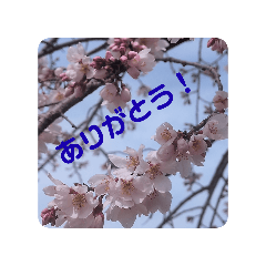 kuro*****_20260409124935