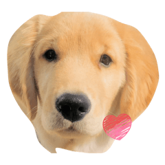 BONJI_20260409125439