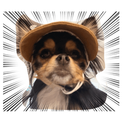 AlPuha_20260409125924