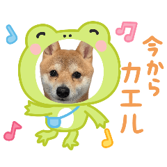 chirol_20260409130117