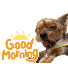 berry_20260409125207