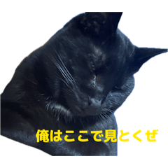 madness_20260409125613