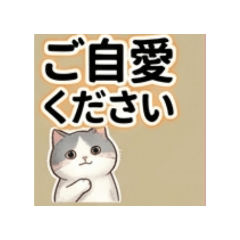 EdA3RzAEIEU2QWO7_20260409125155