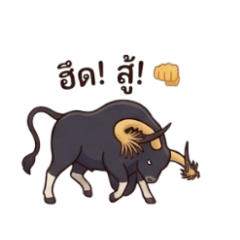 B14 syrup_20260409000927