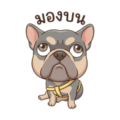 Sumitahnun_20260409083108