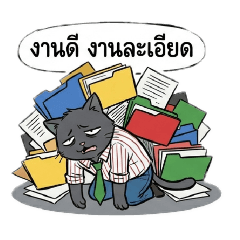 The office cat who conquered paracetamol