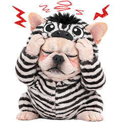 French Bulldog Zebra (No Text)