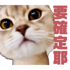 ELY好生活(第一彈)