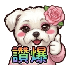 瑪爾濟斯狗妹三八阿花篇