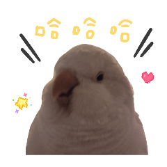 和尚鸚鵡王子的語錄