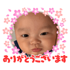 renarena_20260409133704