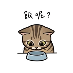 阿噗小舖 虎斑踏踏生活