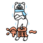 KETAKUMA (WINTER)