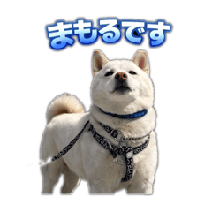 Sakuzo_20260405193942