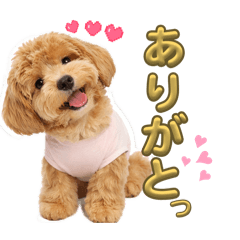 yukathi_20260409010158