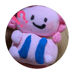 marina_20260405200305