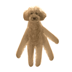 Dog is TAMEIKI_20260409011538