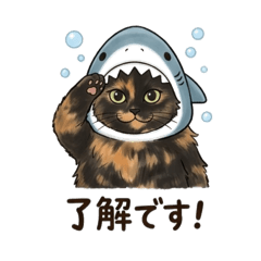 Yuzuru_20260405201826