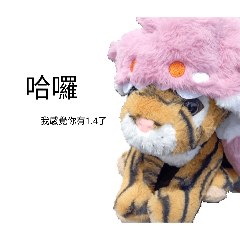 可愛老虎的日常生活