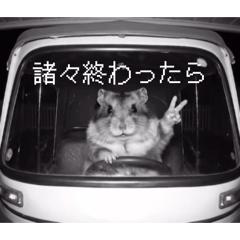 sevensea__20260405195756