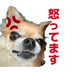 SAKUBO_20260405182338