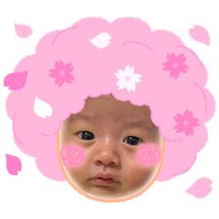 yuzumaru_20260408230307