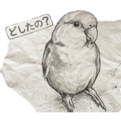 Shigegee_20260409131416