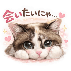 Myuu.shamu_20260409134454