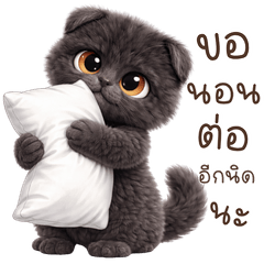 Cute kitten : V3(Bigsticker)