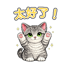 一隻表情極為呆滯的曼赤肯貓