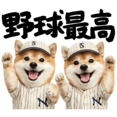 kawaii baseball dog