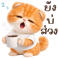 Cute kitten Isan: V1(Bigsticker)