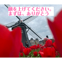 Krypton36_20260405192536