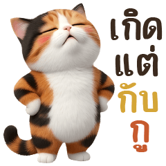 แมว3สี <เกิดแต่กับกู>