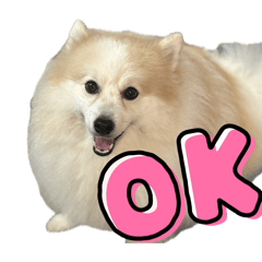 Taichi_20260405204555