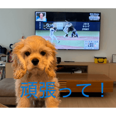 kosuke2710_20260405214358