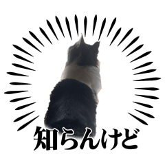 tarihandru1790_20260409150150